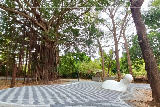 座落在座標(biāo)N24.2041424°， E120.572827°、編號(hào)1313001老榕樹(shù)下的《樹(shù)下教室》，將大自然與土地融入藝術(shù)，如同一座美麗的生態(tài)島嶼。