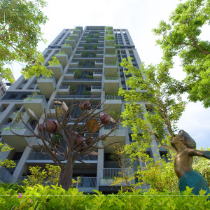 等待風(fēng)起、河畔青青